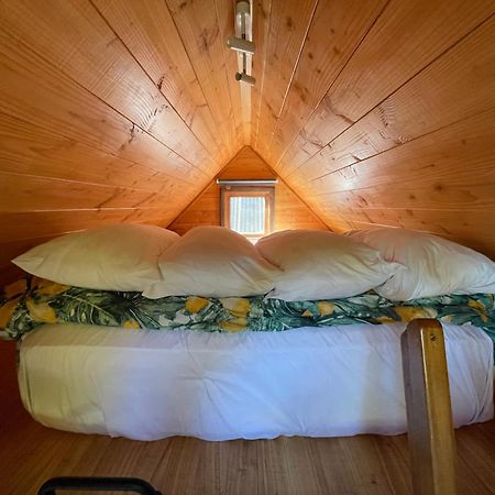 Studio Or Cabin On Whitby Nelson Exterior photo
